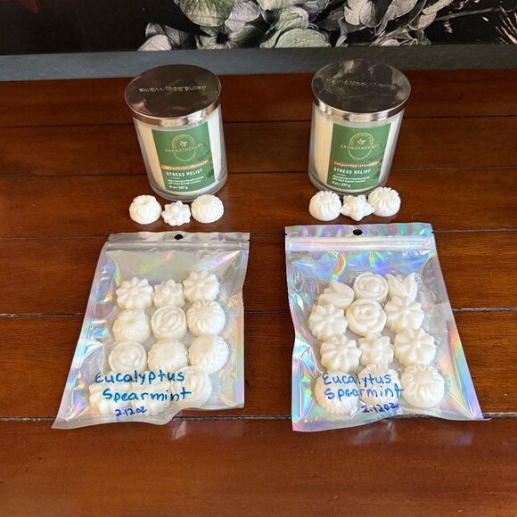 NEW 2-Pc WAX MELTS Bath & Body Works Candle Wax Melts - EUCALYPTUS SPEARMINT - Picture 1 of 3